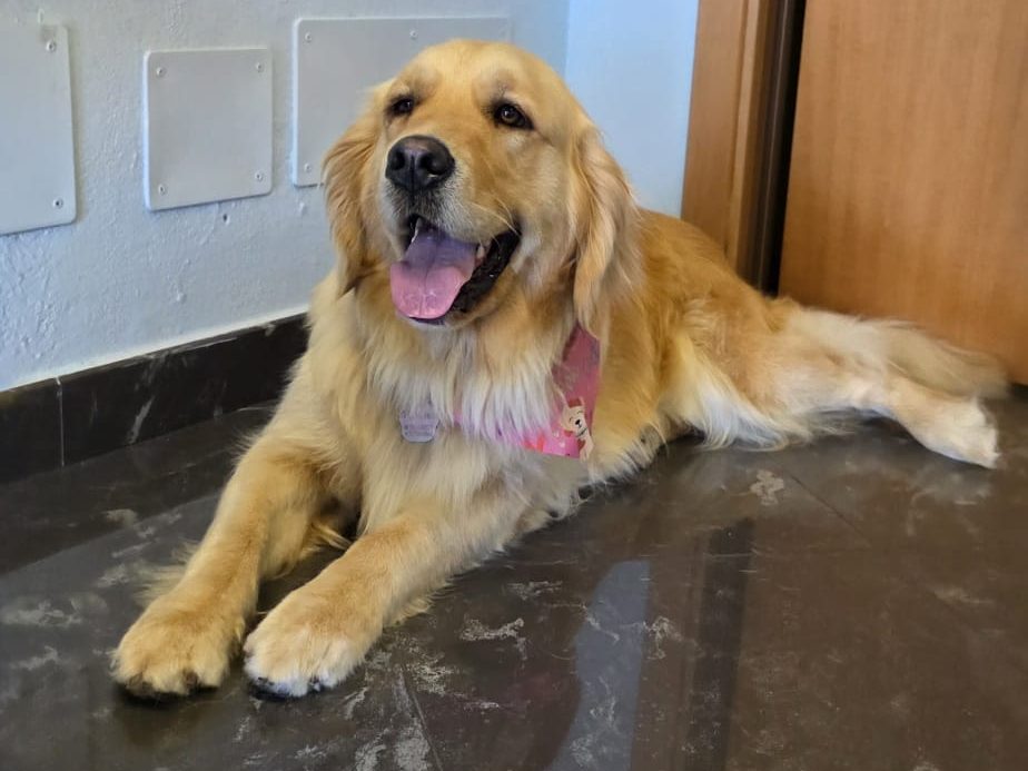 Rosita, la madre della cucciolata